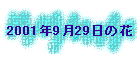2001N929̉