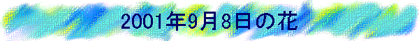 2001N98̉