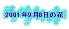 2001N98̉
