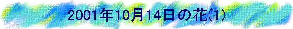 2001N1014̉(1)