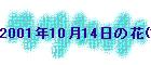 2001N1014̉(1)