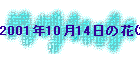 2001N1014̉(2)