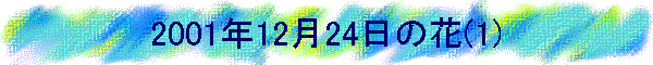 2001N1224̉(1)