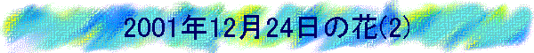 2001N1224̉(2)