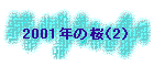 2001N̍i2j