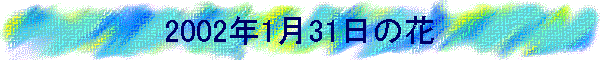 2002N131̉