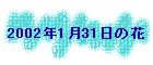 2002N131̉
