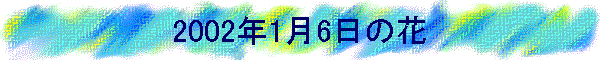 2002N16̉