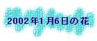 2002N16̉