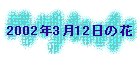 2002N312̉