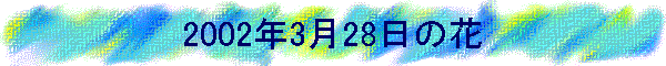 2002N328̉