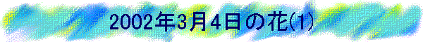 2002N34̉(1)