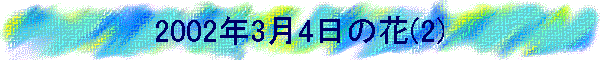2002N34̉(2)