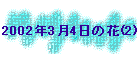 2002N34̉(2)