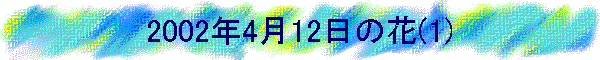 2002N412̉(1)