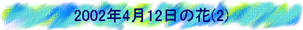 2002N412̉(2)