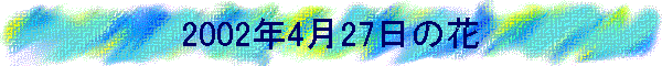 2002N427̉