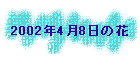 2002N48̉