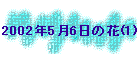 2002N56̉(1)