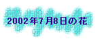 2002N78̉
