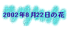 2002N822̉