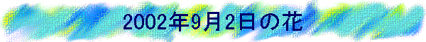 2002N92̉