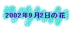2002N92̉