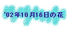 '02N1016̉