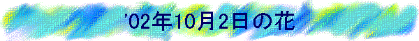'02N102̉