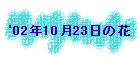 '02N1023̉