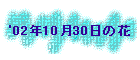 '02N1030̉