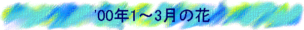 '00N1`3̉