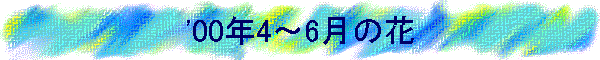 '00N4`6̉