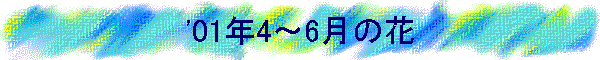 '01N4`6̉