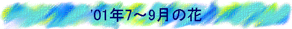 '01N7`9̉