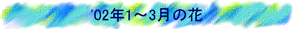 '02N1`3̉