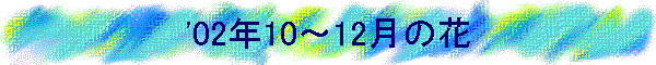 '02N10`12̉