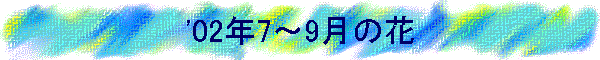 '02N7`9̉